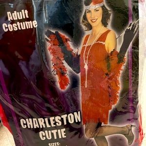 Adult HALLOWEEN COSTUME